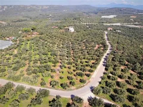 Land Parcel 6455m²  - 4