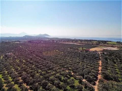 Land Parcel 6455m²  - 5