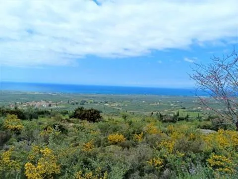 Αγροτεμάχιο 14971τ.μ.  - 2