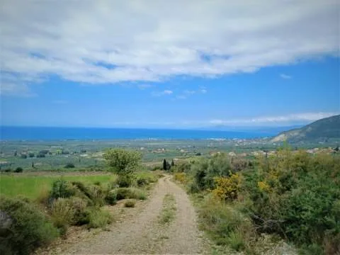 Αγροτεμάχιο 14971τ.μ.  - 3