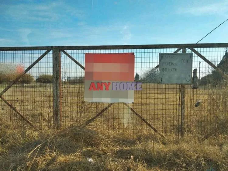 Αγροτεμάχιο 5000τ.μ.  - 2