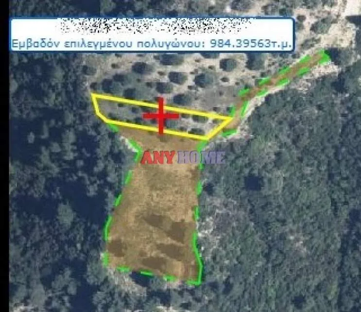 Αγροτεμάχιο 4014τ.μ.  - 3