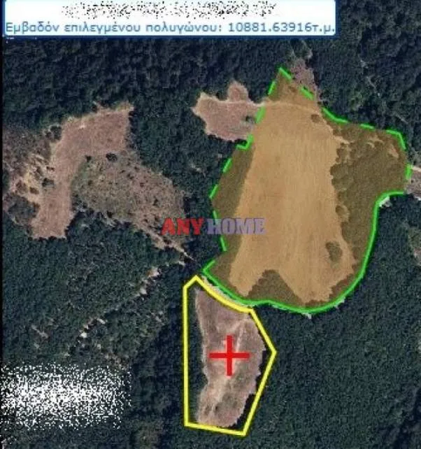 Land Parcel 49540m²  - 2