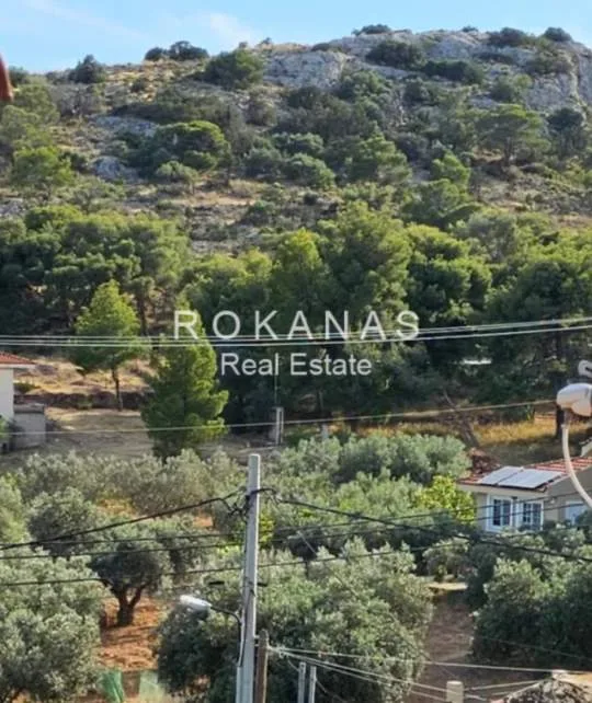 Μονοκατοικία 290τ.μ.  - 4
