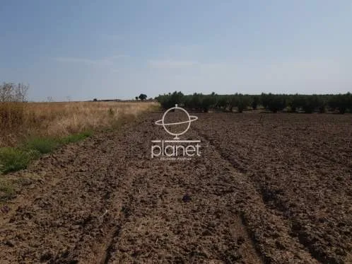 Land Parcel 7900m²  - 2