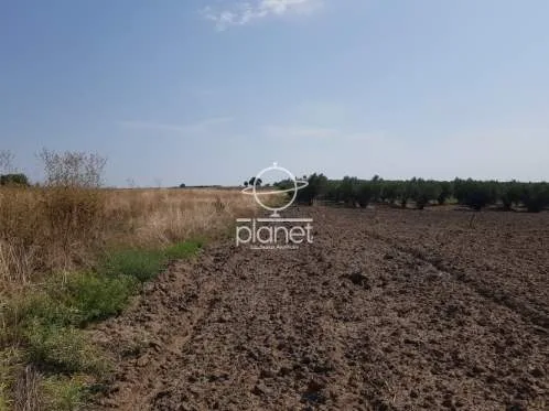 Land Parcel 7900m²  - 3