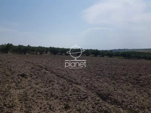 Land Parcel 7900m²  - 4