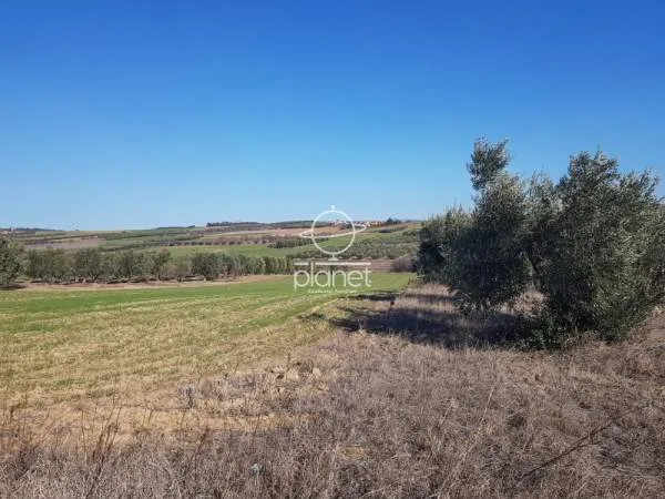 Land Parcel 5525m²  - 4