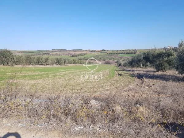Land Parcel 5525m²  - 5
