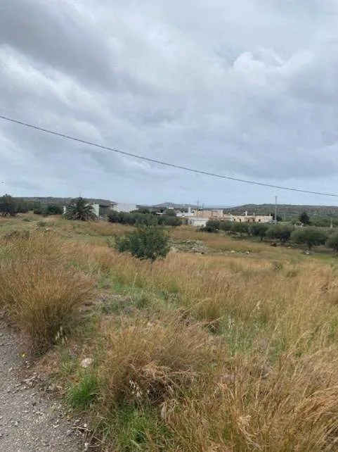 Plot 2302m²  - 2