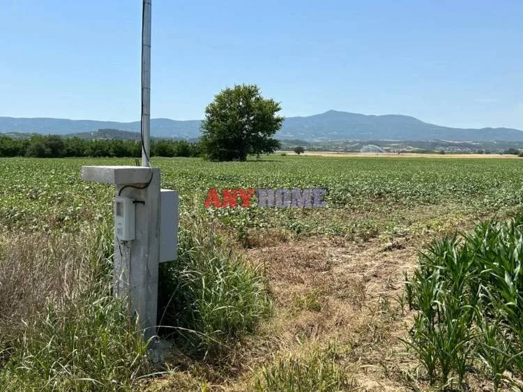Land Parcel 15000m²  - 2