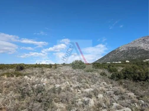 Land Parcel 29612m²  - 4