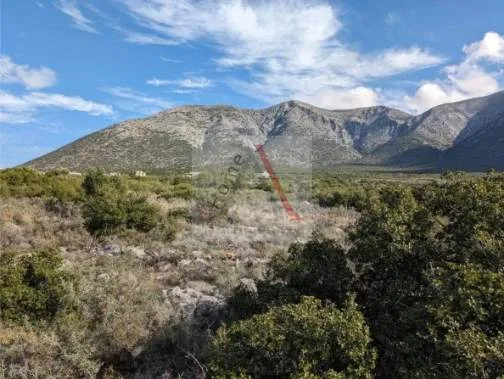 Land Parcel 29612m²  - 5