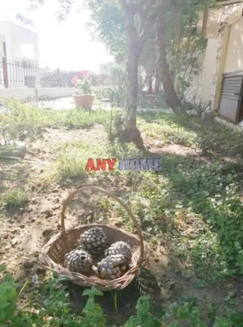 Αυτόνομο κτήριο κατοικιών 360τ.μ.  - 3