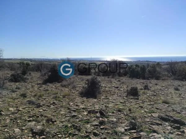 Αγροτεμάχιο 5383τ.μ.  - 3