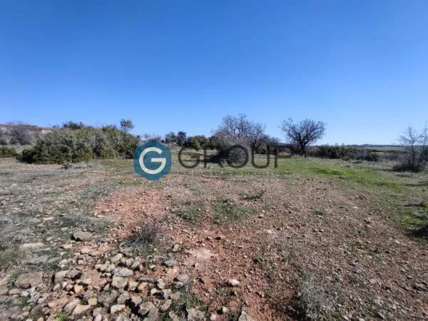 Αγροτεμάχιο 5383τ.μ.  - 5