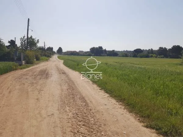 Land Parcel 5050m²  - 2