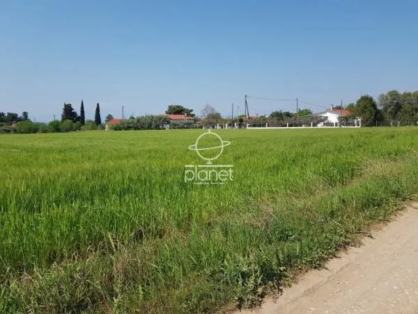 Land Parcel 5050m²  - 4