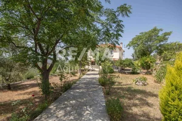 Detached house 180m²  - 5