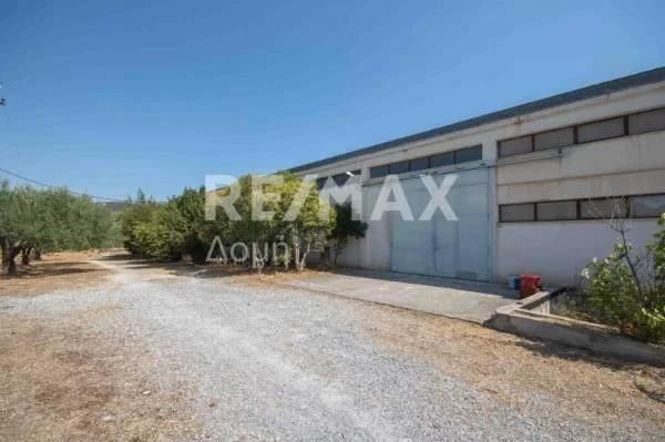 Βιοτεχνικοί / Βιομηχανικοί χώροι 1360τ.μ.  - 3
