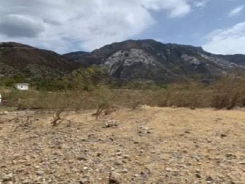 Land Parcel 24193m²  - 2