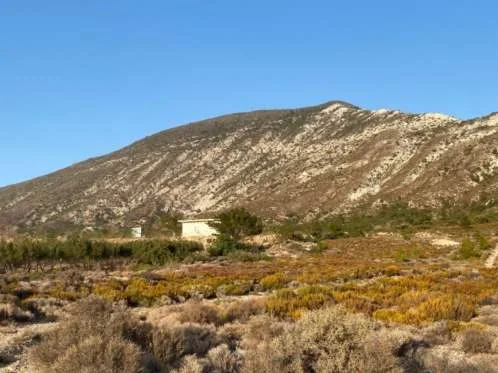 Land Parcel 24193m²  - 3