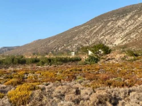 Land Parcel 24193m²  - 4