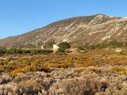 Land Parcel 24193m²  - 5