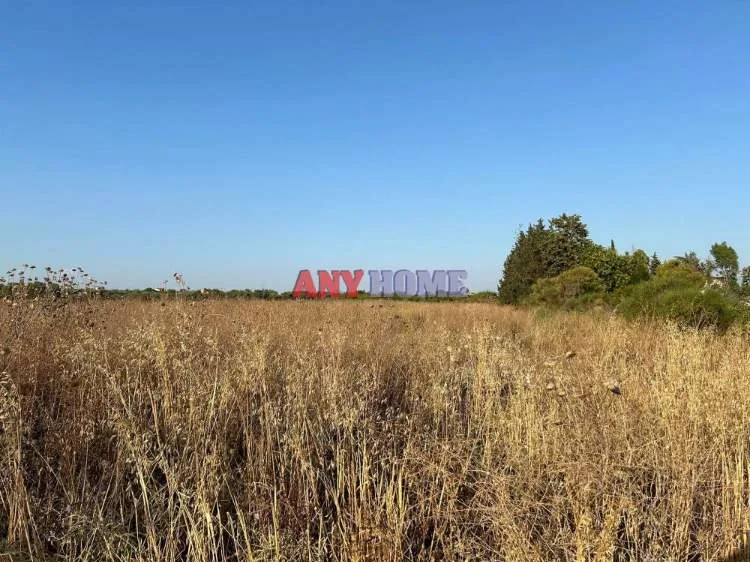 Αγροτεμάχιο 7400τ.μ.  - 2