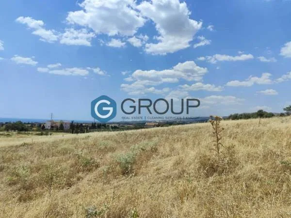 Αγροτεμάχιο 2000τ.μ.  - 3