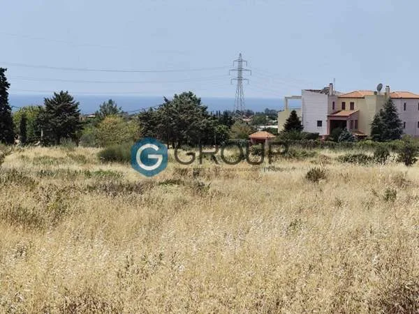Αγροτεμάχιο 2000τ.μ.  - 5