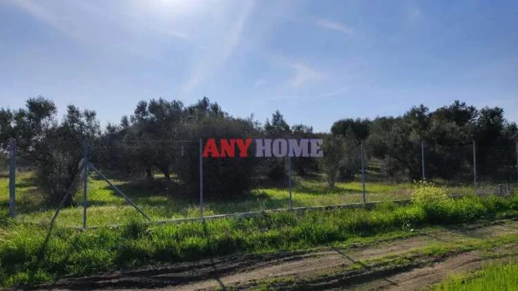 Αγροτεμάχιο 10000τ.μ.  - 4