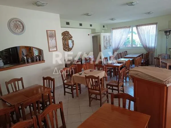 Hall / Showroom 145m²  - 5