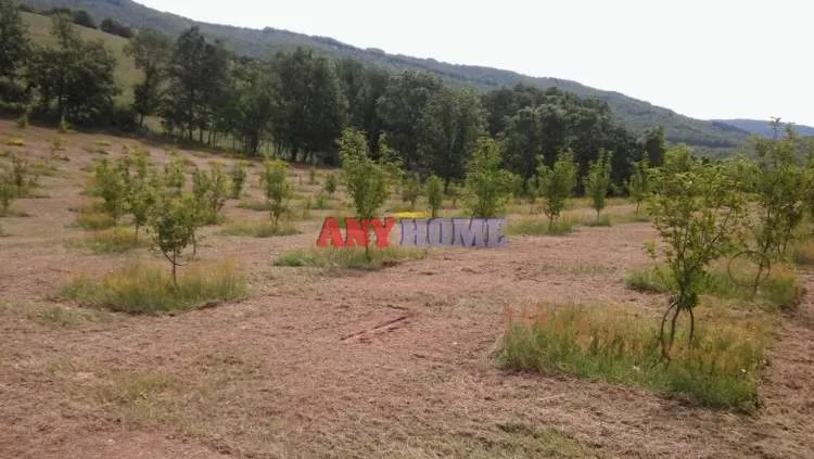 Αγροτεμάχιο 22000τ.μ.  - 4