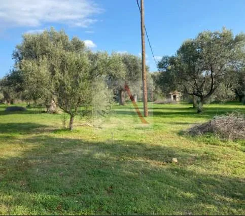 Plot 4100m²  - 2