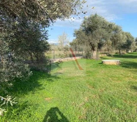 Plot 4100m²  - 3