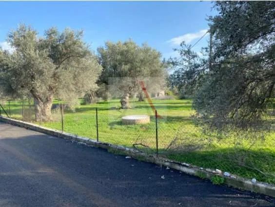 Plot 4100m²  - 4