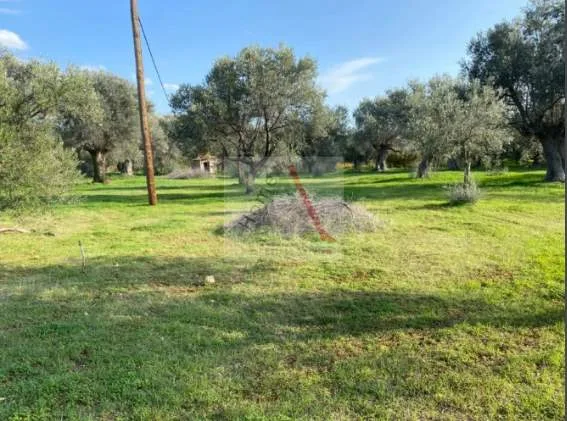 Plot 4100m²  - 5