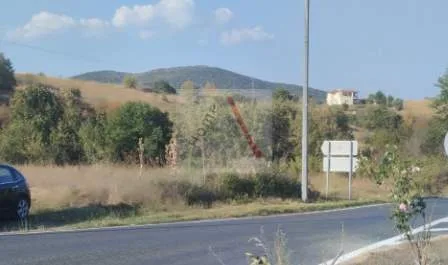 Αγροτεμάχιο 7380τ.μ.  - 2