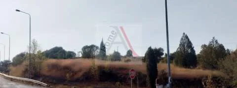 Αγροτεμάχιο 7380τ.μ.  - 3