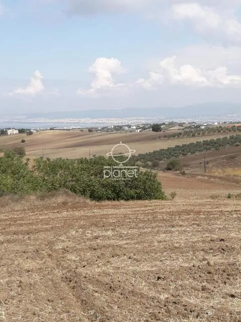 Land Parcel 20500m²  - 2