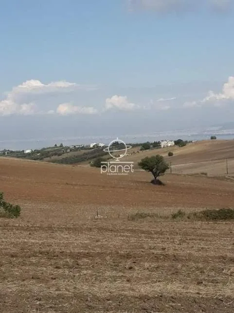 Land Parcel 20500m²  - 3