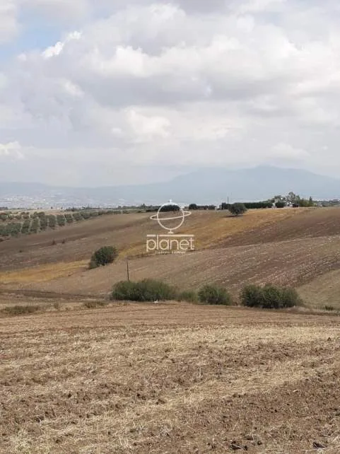Land Parcel 20500m²  - 4