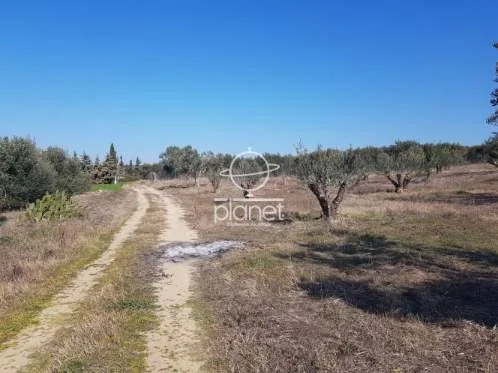 Land Parcel 2500m²  - 2