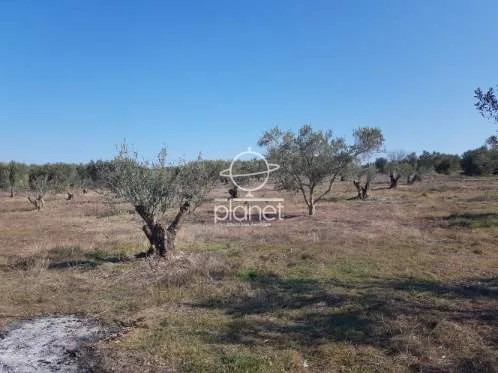 Land Parcel 2500m²  - 3