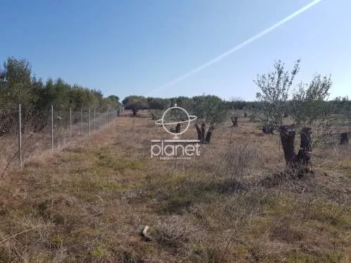 Land Parcel 2500m²  - 4