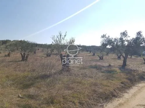 Land Parcel 2500m²  - 5