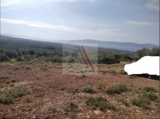 Land Parcel 5004m²  - 2