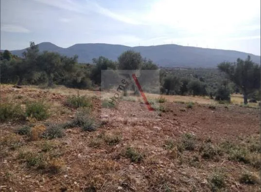 Land Parcel 5004m²  - 4