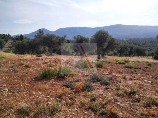 Land Parcel 5004m²  - 5